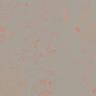 Линолеум Forbo Marmoleum Solid Concrete 3712/371235 orange shimmer